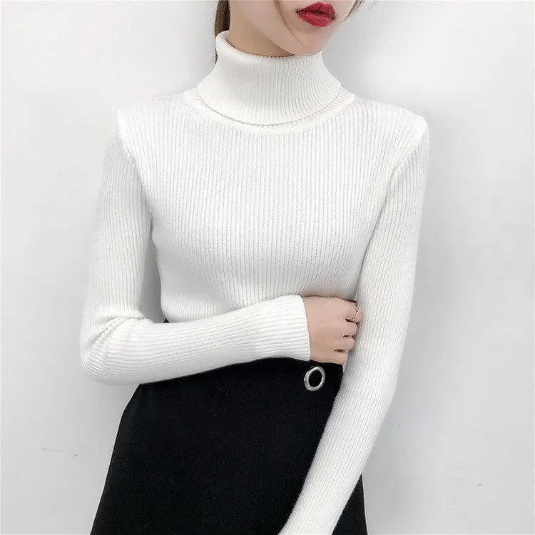 Women's Knit Sweater with Turtleneck