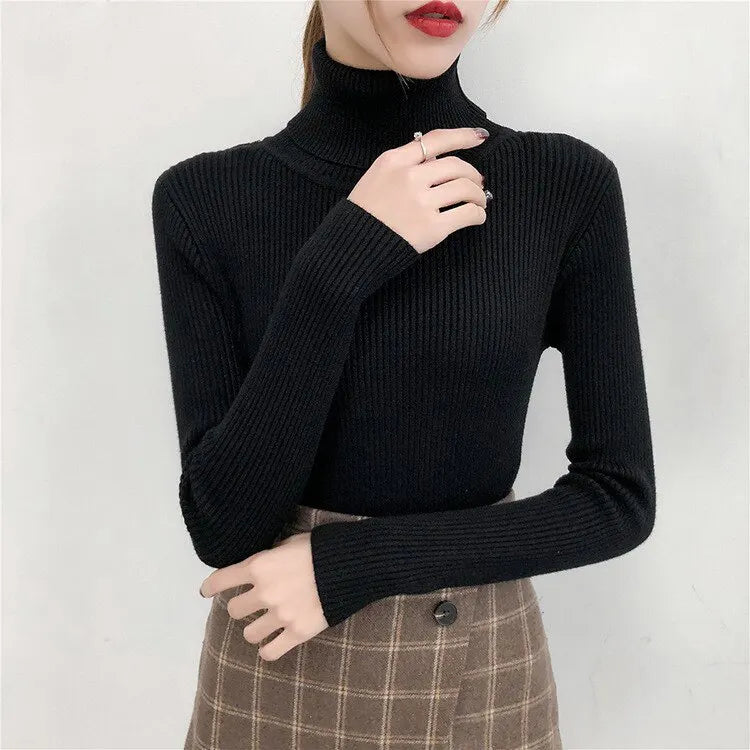 Women's Knit Sweater with Turtleneck