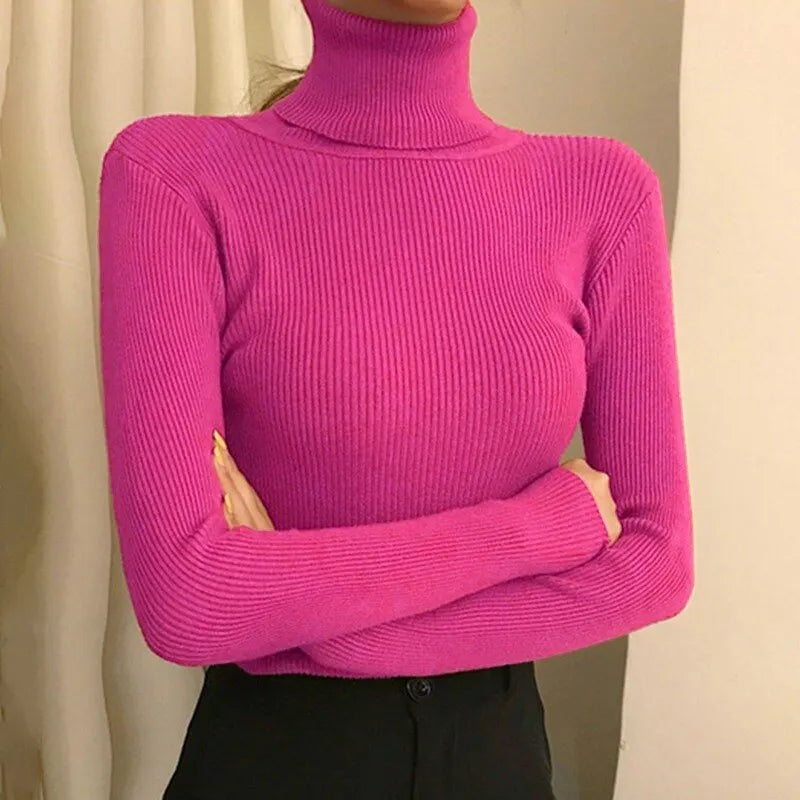 Women's Knit Sweater with Turtleneck