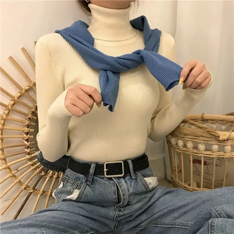 Women's Knit Sweater with Turtleneck